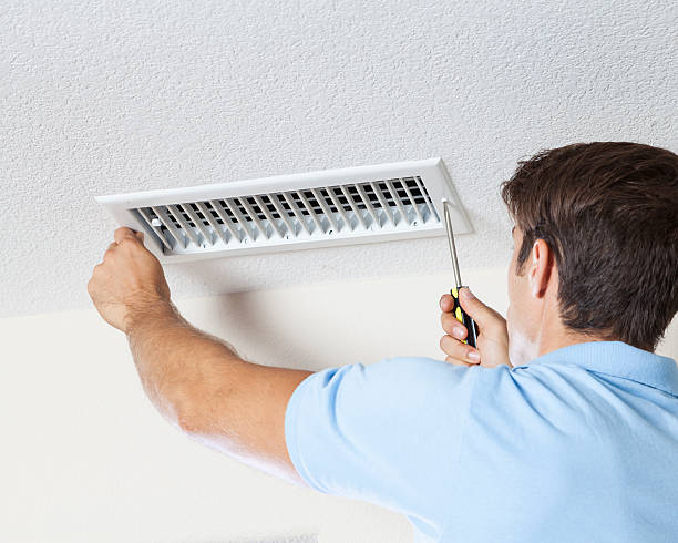 Best Mold Removal for HVAC Installations  in USA